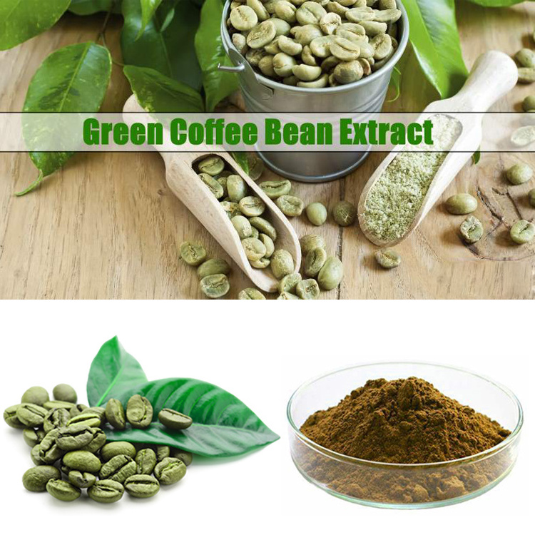 Factory Supply Green Coffee Bean Extract Powder Chlorogenic Acid  Green Coffee Bean Extract