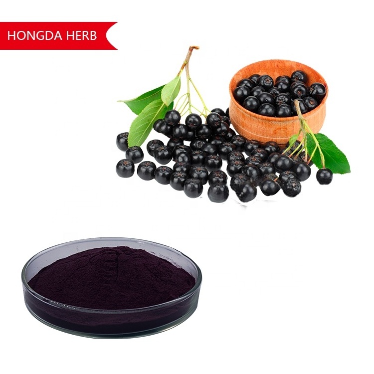 HONGDA Aronia Berry Fruit Powder