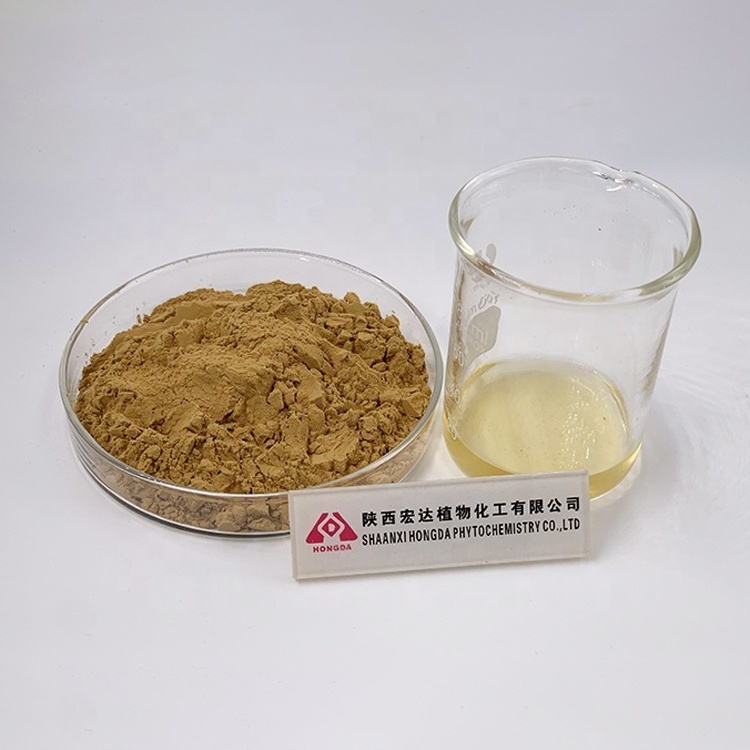 HONGDA Oil Soluble Rosemary Extract Powder Carnosic Acid High Antioxidant