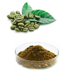 Factory Supply Green Coffee Bean Extract Powder Chlorogenic Acid  Green Coffee Bean Extract