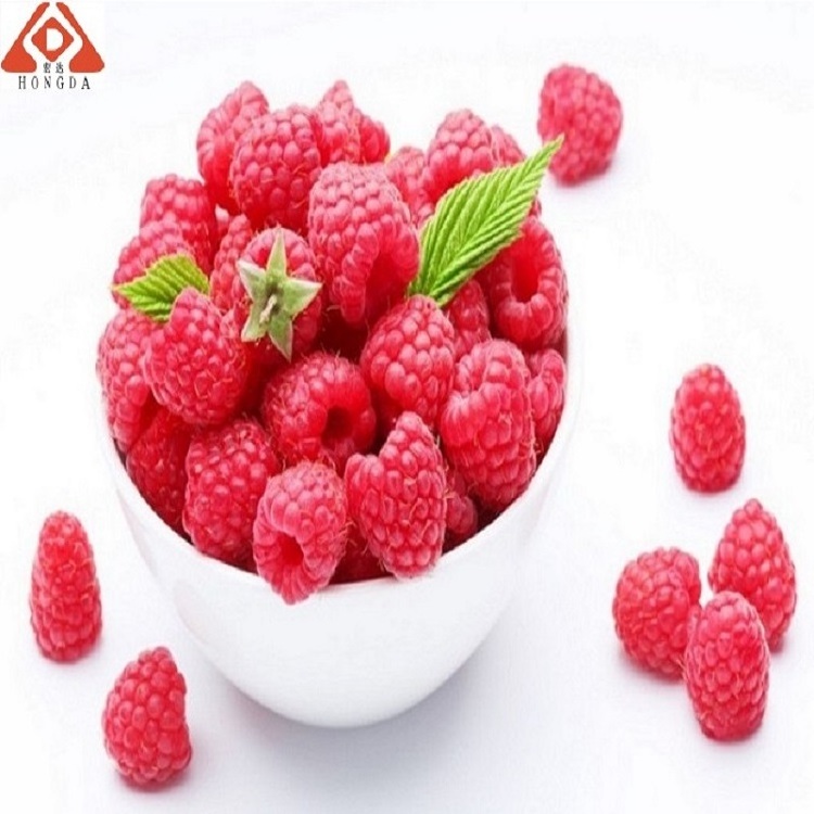 HONGDA Wholesale Raspberry Ketone Extract Raspberry Extract Raberry Powder