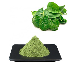 HONGDA Factory Supply Spinach Extract  Dry Dehydrated Spinach Powder