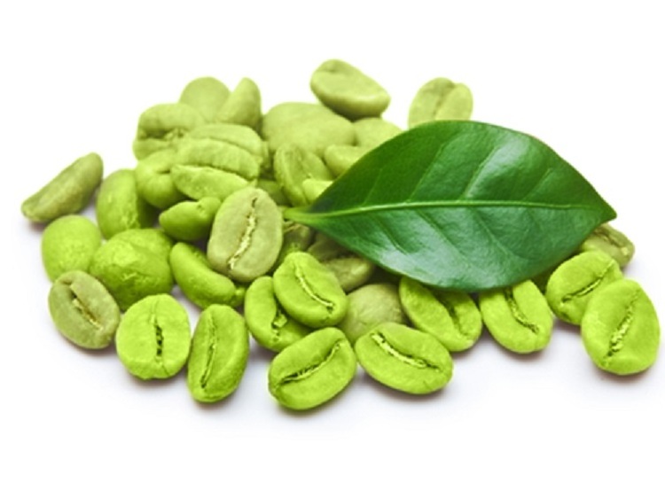 Factory Supply Green Coffee Bean Extract Powder Chlorogenic Acid  Green Coffee Bean Extract