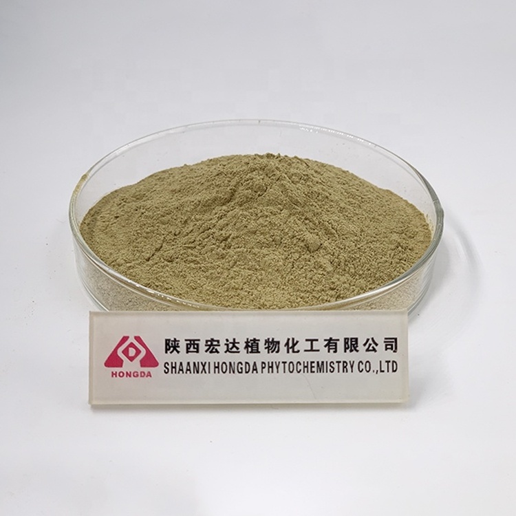 HONGDA Oil Soluble Rosemary Extract Powder Carnosic Acid High Antioxidant