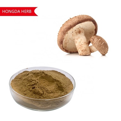 Shiitake Extract Powder 30% Polysaccharide Lentinan Shiitake Mushroom Extract