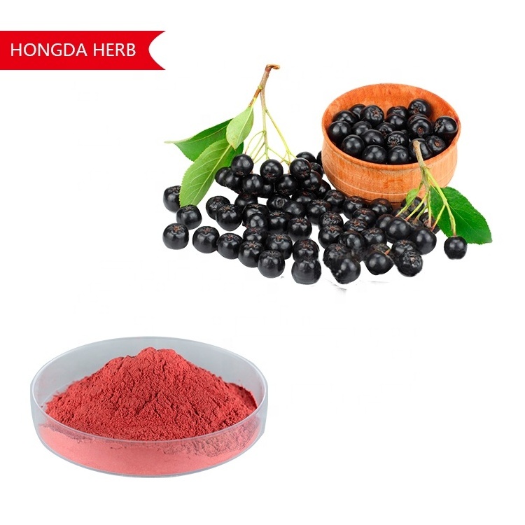 HONGDA Aronia Berry Fruit Powder