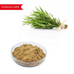 HONGDA Oil Soluble Rosemary Extract Powder Carnosic Acid High Antioxidant