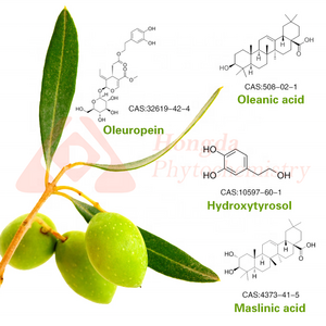 HONGDA Olea Europea 60% 70% 98% Olive Leaf Extract Oleanolic Acid