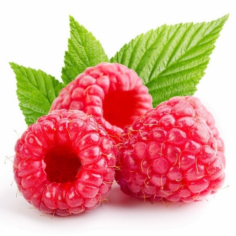 HONGDA Wholesale Raspberry Ketone Extract Raspberry Extract Raberry Powder