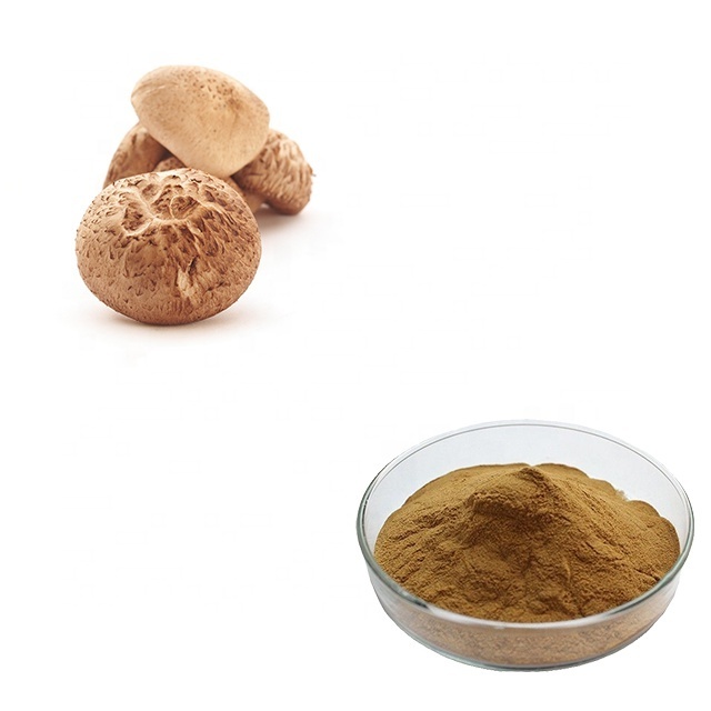 Hongda Factory 30% 50% Polysaccharides Mushroom Shitake Mushroom Extract