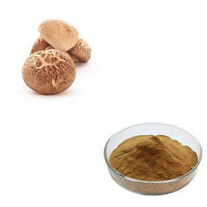 Hongda Factory 30% 50% Polysaccharides Mushroom Shitake Mushroom Extract