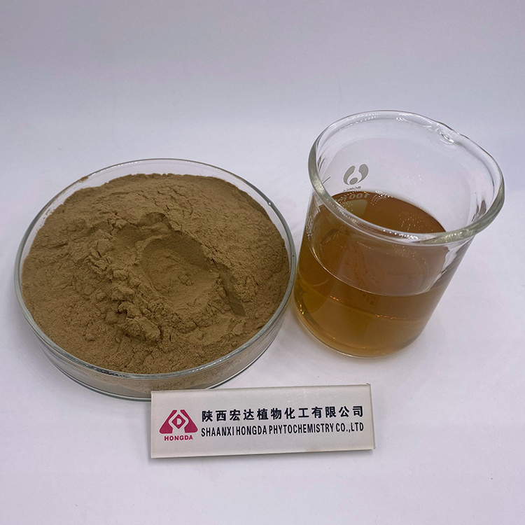 Shiitake Extract Powder 30% Polysaccharide Lentinan Shiitake Mushroom Extract