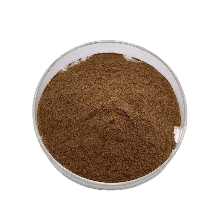 Natural Plant Aesculus Chinensis Aesculus hippocastanum Horse Chestnut Seed Extract 20% 40% Beta Aescin Powder