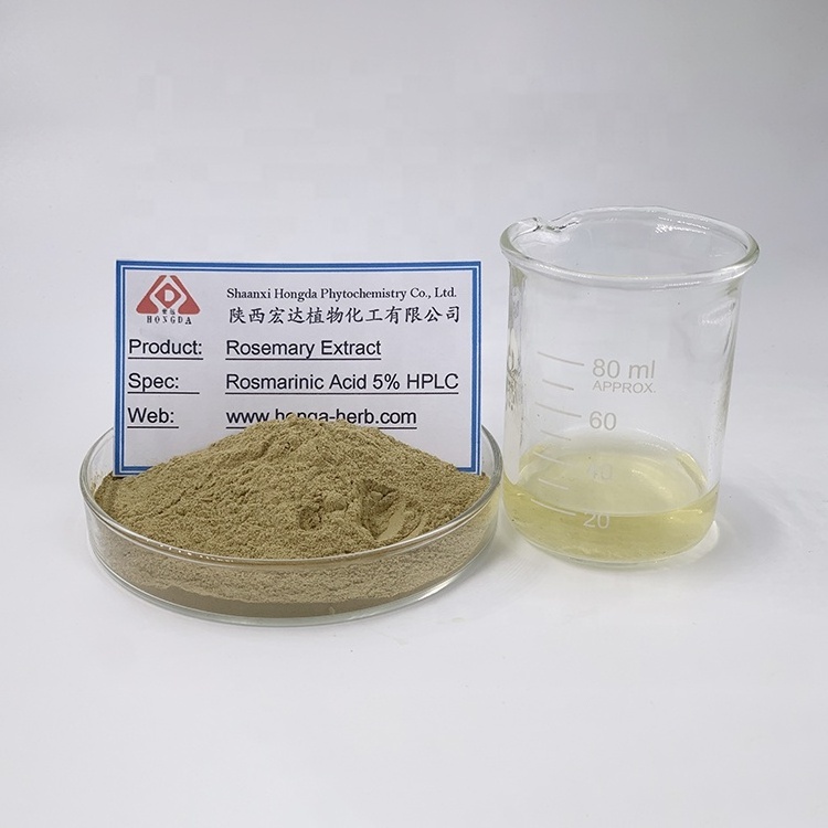 HONGDA Oil Soluble Rosemary Extract Powder Carnosic Acid High Antioxidant