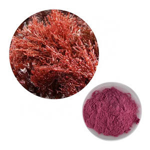 HONGDA Supply Algae Polysaccharide Red Algae Extract Powder