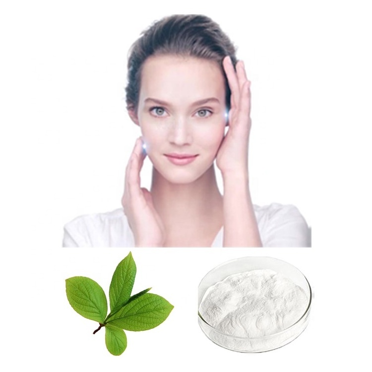 HONGDA Wholesale Bearberry Leaf Extract Skin Lightening Pure Alpha Arbutin Powder