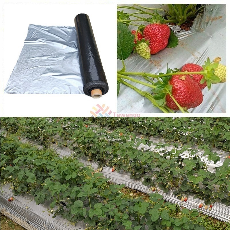 Hongde Reflective Mylar Metallized CPP Film Industrial PE Mulch Film Food Manufacturing Agriculture Glossy Trees Supplier