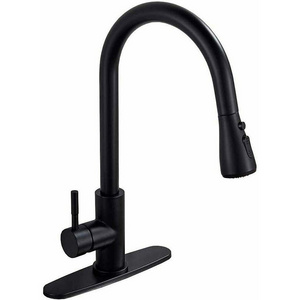 Black Pull Out Kitchen Faucet Single Level Stainless Steel Kitchen Sink Faucets