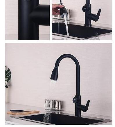 Pull Out Kitchen Faucet Single Level Stainless Steel LED Digital Display Kitchen Sink Faucets