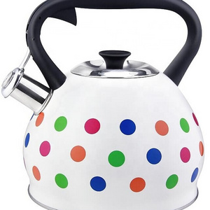 Stainless Steel Automatic Whistling Tea Kettle with painted  round dot kettle