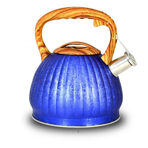 Stainless Steel Water Tea Pot 3.0L Whistling Tea Kettle With Color Painting