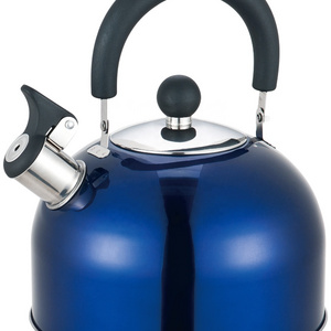 Movable Handle Stovetop Tea pot 3L Stainless Steel Whistling Tea Kettle with blue body