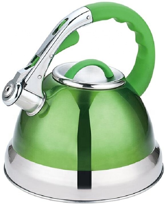 Stainless Steel Whistling Water Tea Kettle With Thermometer 2.7L Kitchen Home Stovetop Whistle Kettle