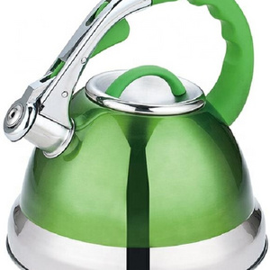 Stainless Steel Whistling Water Tea Kettle With Thermometer 2.7L Kitchen Home Stovetop Whistle Kettle