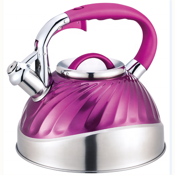 Tea Kettle Stovetop Whistling Tea Pot 2.7 Quart Stainless Steel Tea Maker Single Handle Teapot