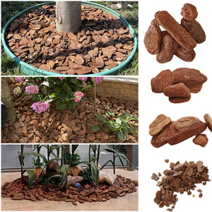 garden orchids mulch decorative horsetail grinding pine bark nuggets