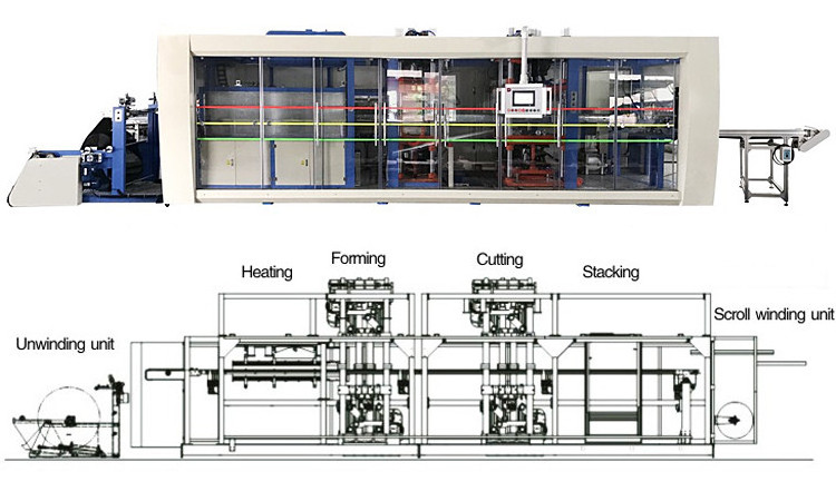 HG-DGD80 Plastic Disposable cup lid Thermoforming Machine