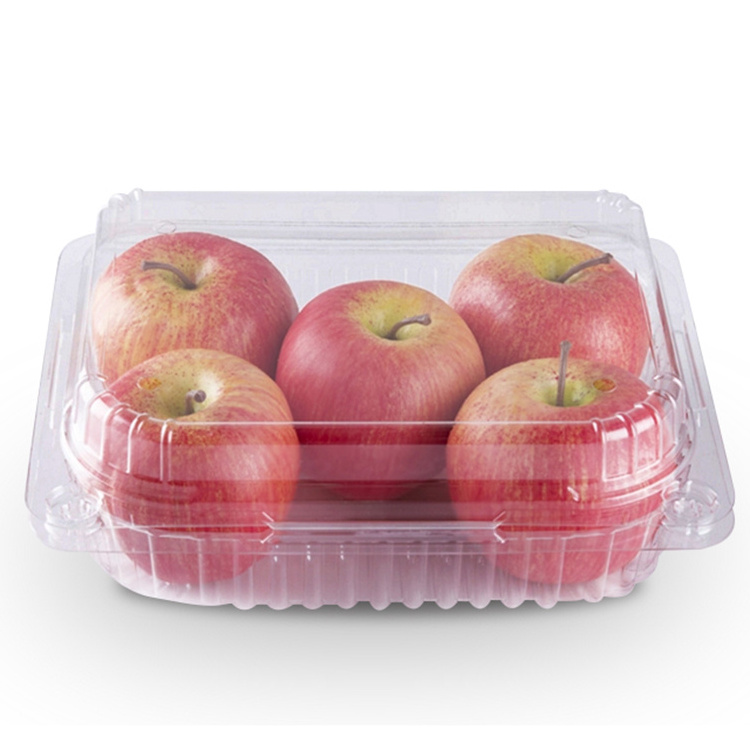 Disposable plastic fruit clamshell packing container clear Blister fresh food take away packaging box