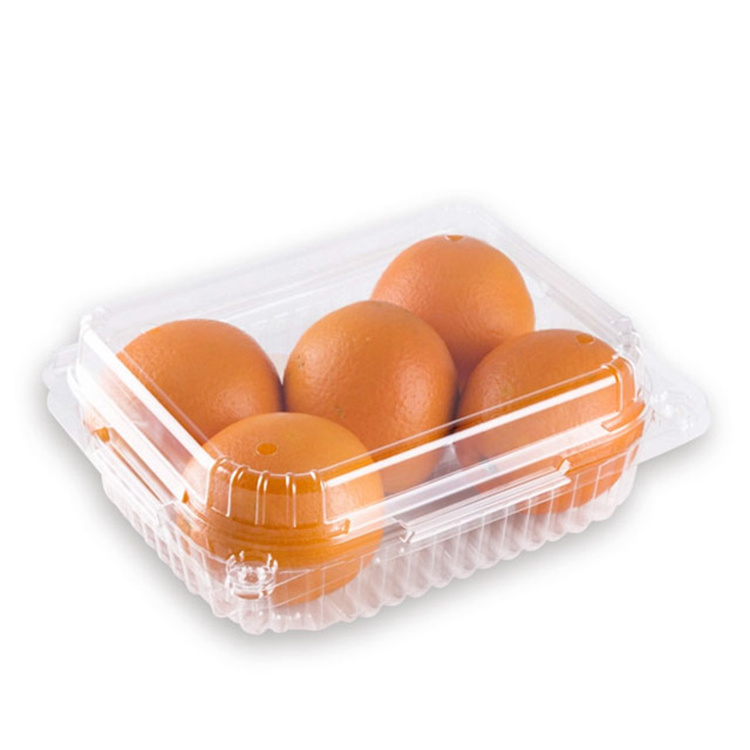 Disposable plastic fruit clamshell packing container clear Blister fresh food take away packaging box