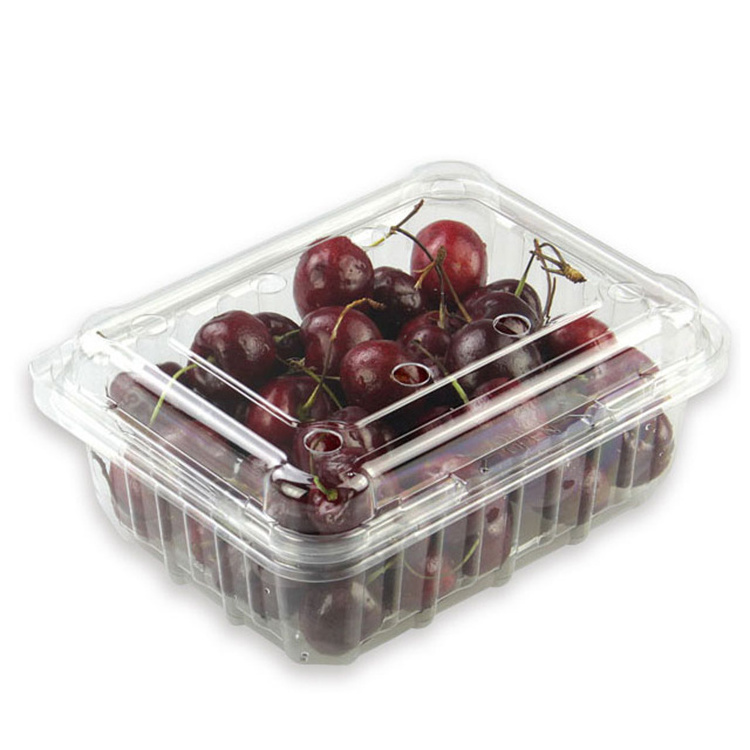 Disposable plastic fruit clamshell packing container clear Blister fresh food take away packaging box