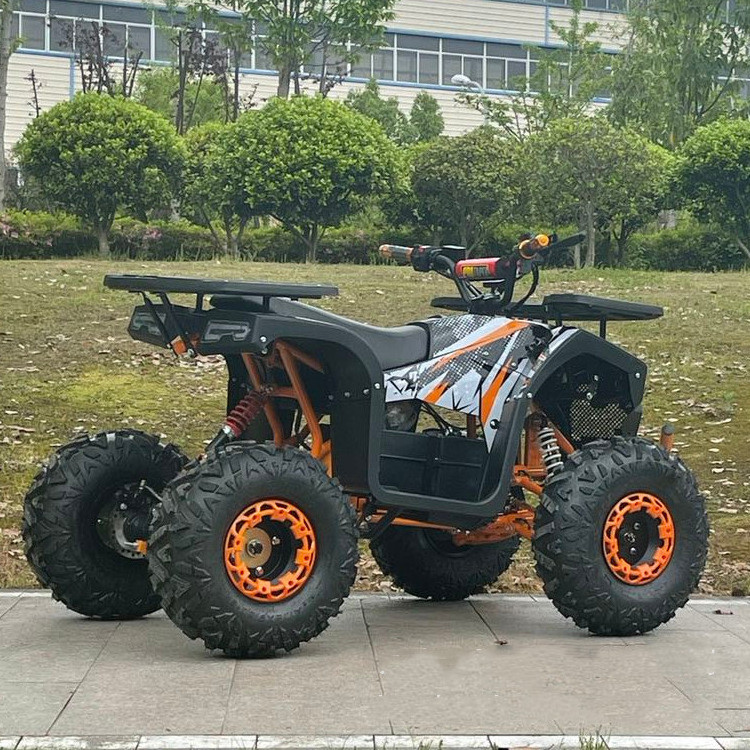 60V1000W Electric All Terrain Vehicle Electric Quad Atv 4x4 EV Adult