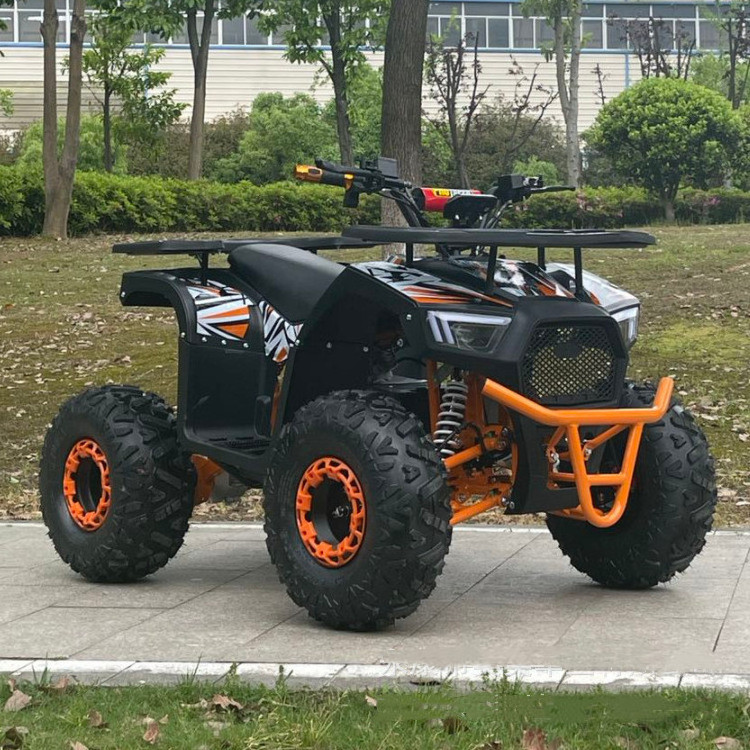 60V1000W Electric All Terrain Vehicle Electric Quad Atv 4x4 EV Adult