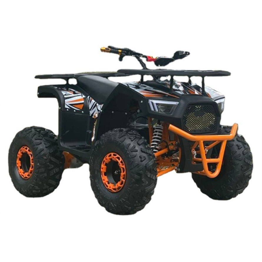 60V1000W Electric All Terrain Vehicle Electric Quad Atv 4x4 EV Adult