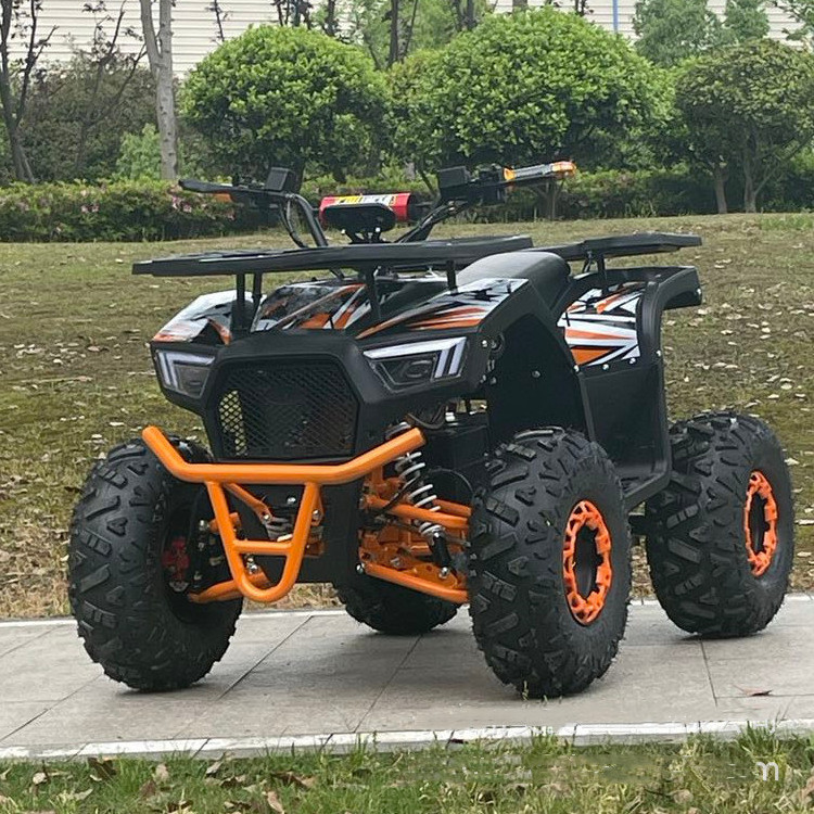 60V1000W Electric All Terrain Vehicle Electric Quad Atv 4x4 EV Adult