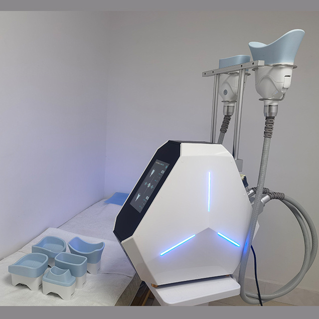 New 4D Zsculpt cryolipolisis 360 cryo t shock ems beauty machine for salon