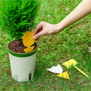 Yellow Sticky Insect Traps for Home Balcony Plants and Greenery - Effective Against Small Flying Insects and Fruit Flies