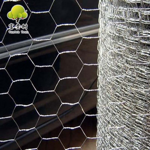 hexagonal chicken wire mesh for farm animals/galvanized chicken wire mesh/hexagonal mesh