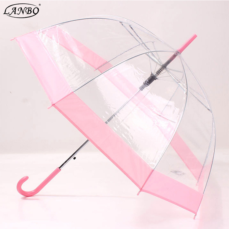 Transparent clear pvc transparent Umbrella Rain Women Creative Bird Cage pineapple umbrella