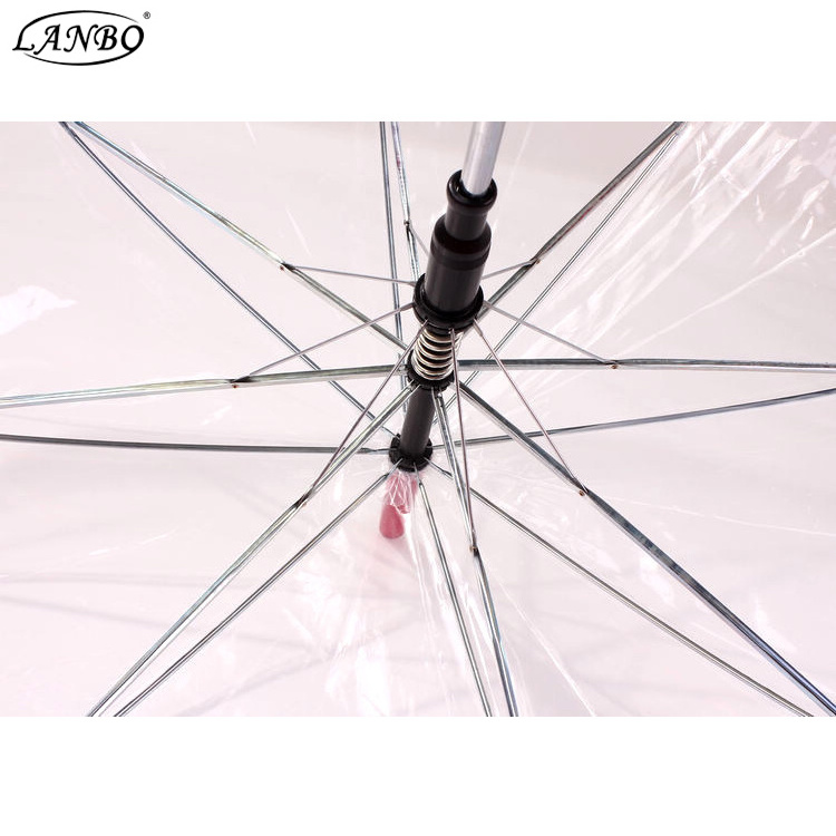 Transparent clear pvc transparent Umbrella Rain Women Creative Bird Cage pineapple umbrella