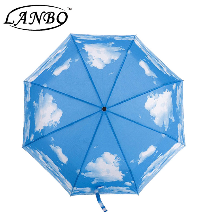 colorful funny japanese folding umbrella with blue sky white cloud photo print