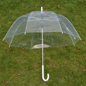 Wholesale Adults 120cm Straight Polyester Umbrella with Semi-Automatic Open Control Mushroom-Shaped Clear Transparent Umbrella