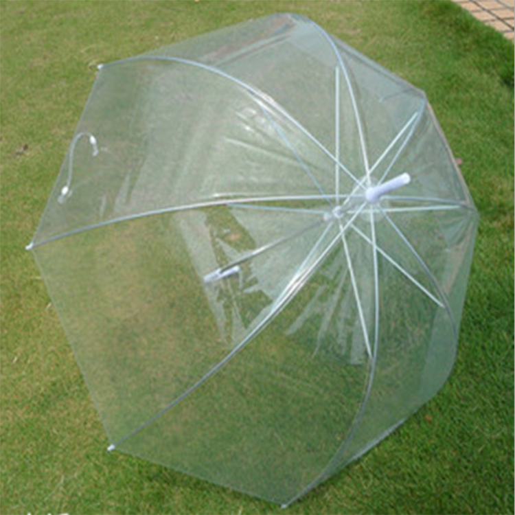 Wholesale Adults 120cm Straight Polyester Umbrella with Semi-Automatic Open Control Mushroom-Shaped Clear Transparent Umbrella