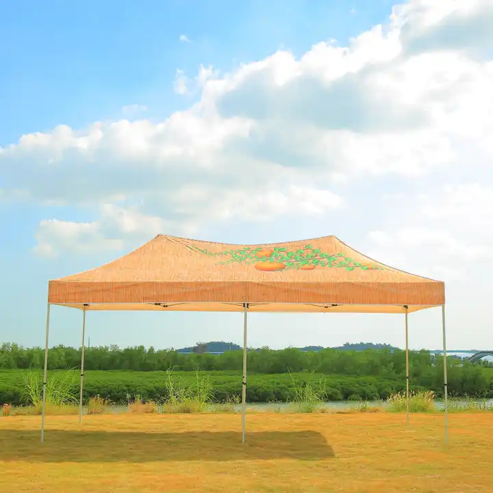 Budget Hexagon 40mm aluminium Custom Design  10X20 Folding Pop up Canopy Frame Promotional Gazebo for Trade Show Tents