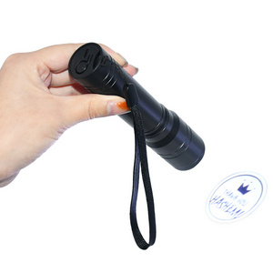 2024 New Product Led Mini Torch Flashlight Led Flashlight