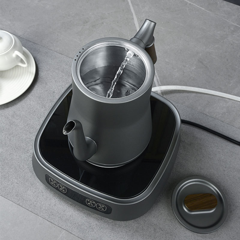 water boiler electric kettle tea kettle electric coffee electric kettle black quick Tea Cooking