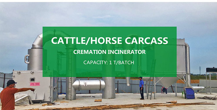 High temperature pyrolysis incinerator pet cremation machine  medical waste Hospital animal incinerator fuel electric